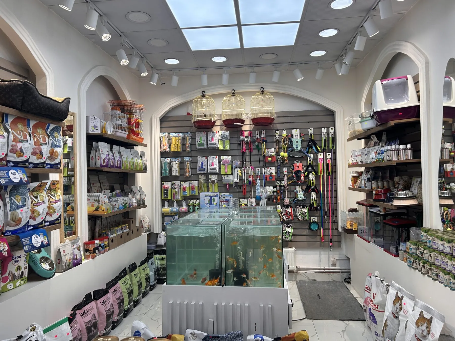 Bahçeli Petshop'un içi: akvaryum bölümü, tasma ve oyuncak rafı, mama reyonları